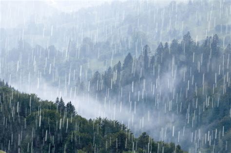 下大雨卡通|下大雨动态卡通图片